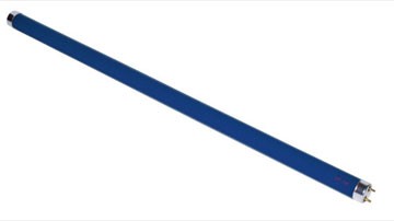 Tub fluorescent LOHUIS, T8, G13, 36W, 1200 mm, 8000 ore, lumina albastra