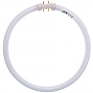 Tub fluorescent circular T5 LOHUIS, 2GX13, 22W, 225mm, 8000 ore, lumina rece