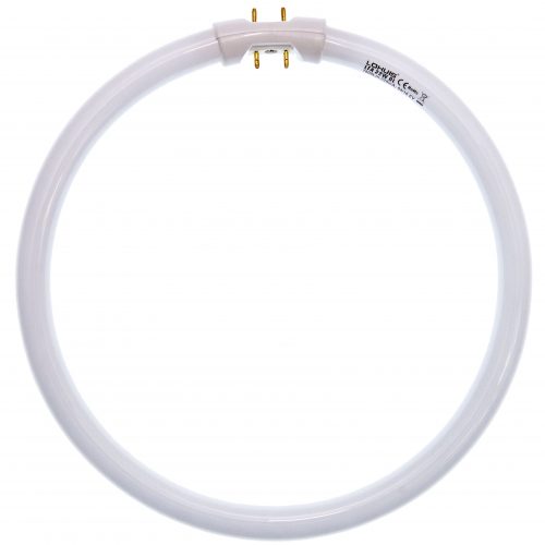 Tub fluorescent circular T5 LOHUIS, 2GX13, 22W, 225mm, 8000 ore, lumina rece