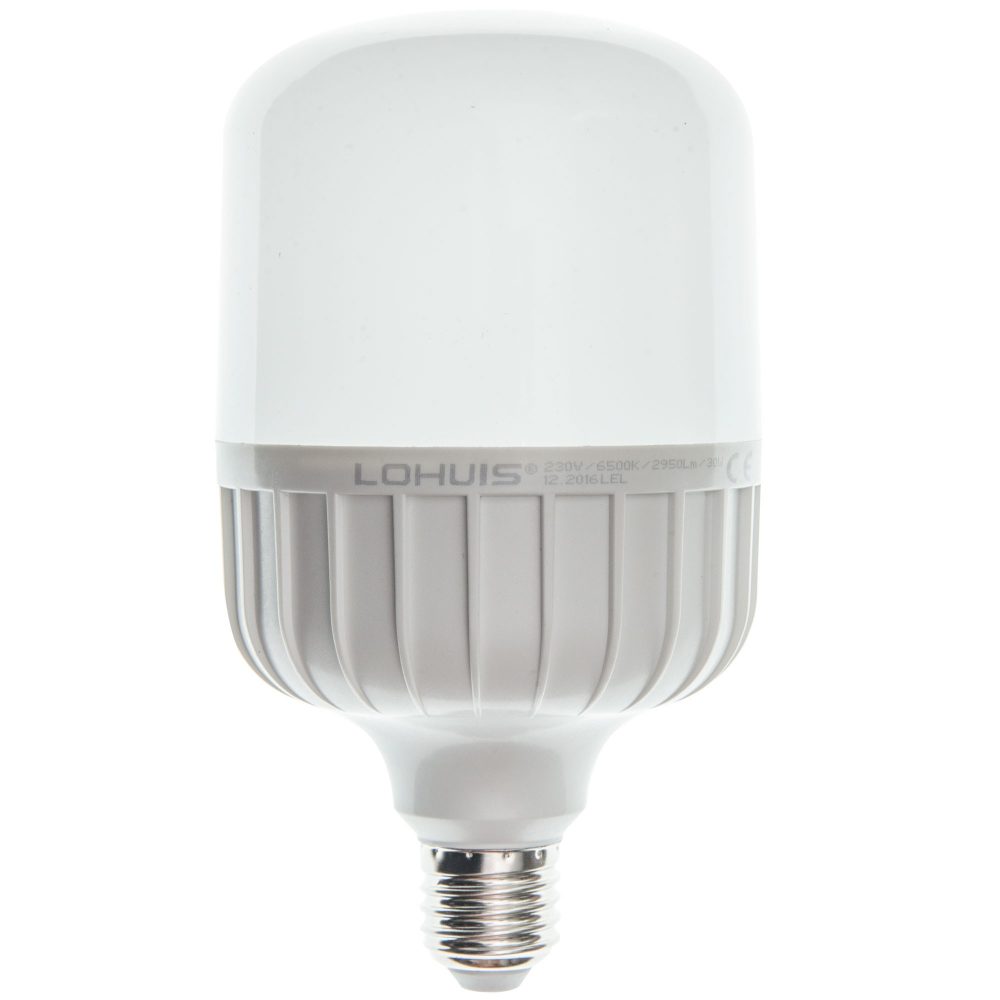 Bec LED T100 LOHUIS, forma tubulara, E27, 30W, 25000 ore, lumina rece