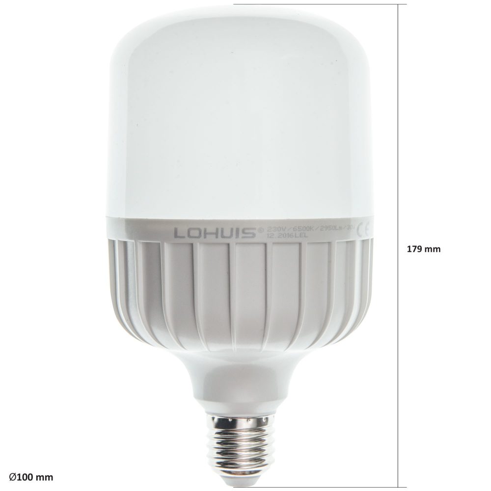 Bec LED T100 LOHUIS, forma tubulara, E27, 30W, 25000 ore, lumina rece