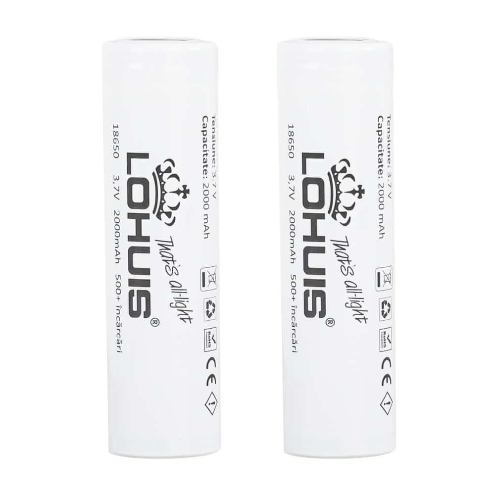 Set 2 acumulatori Li-Ion 2000 mAh, terminal plat